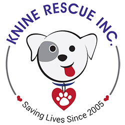 Knine Rescue 